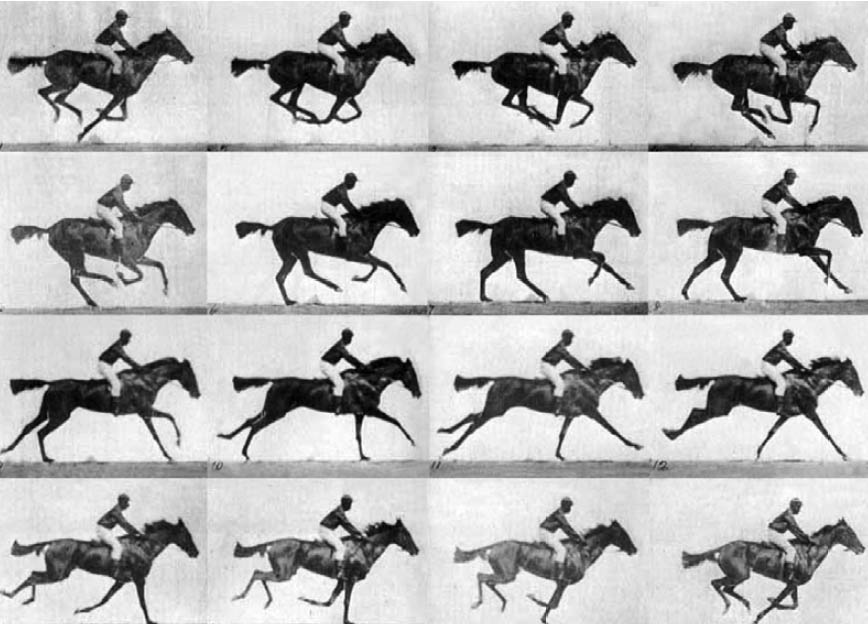 Eadweard Muybridge, Il cavallo in movimento, 1878
