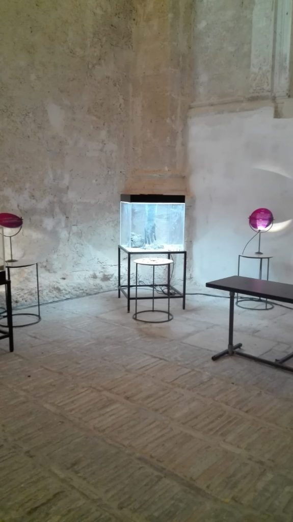 M.E.M.O.RI. è un museo itinerante e interattivo