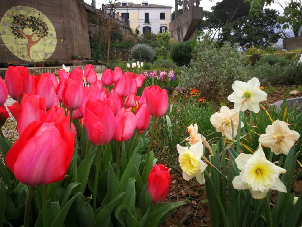 Giardino Ildebrando milano di cava de' tirreni