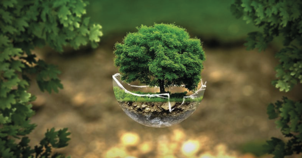 madre terra cava de tirreni orione fondazione sinapsi