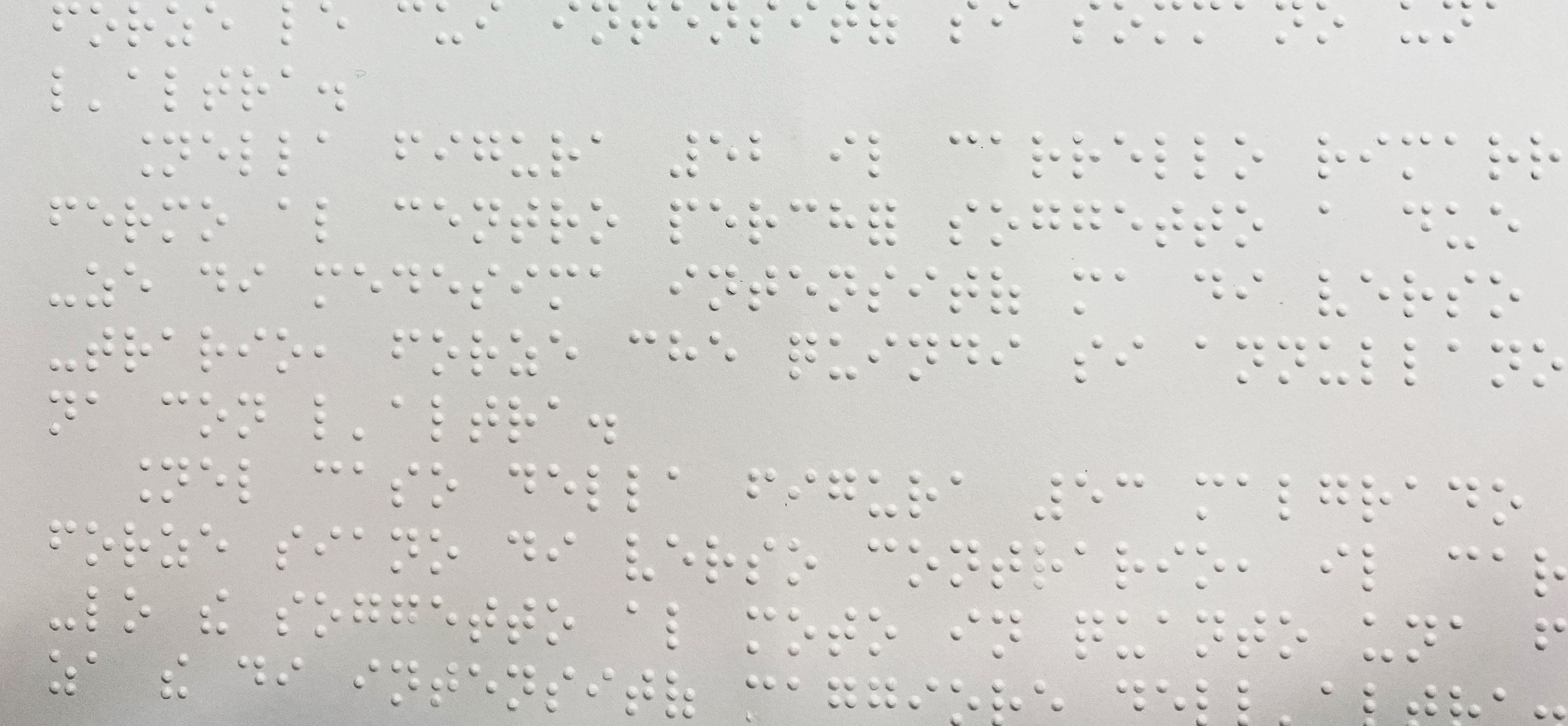 Braille - Fondazione Sinapsi