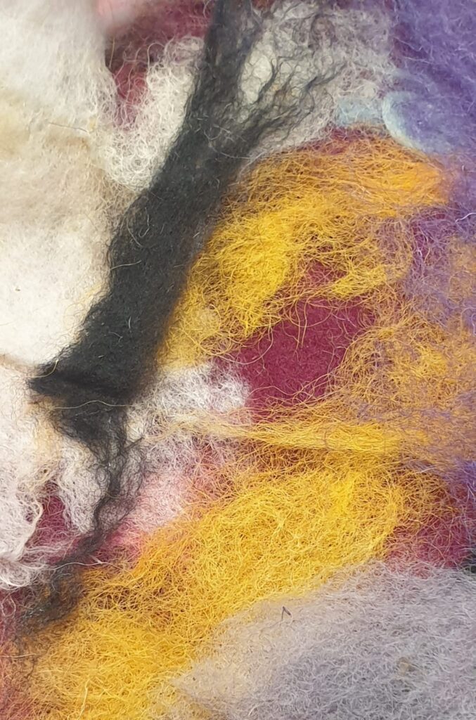 Lana colorata di Paola Della Pergola, autrice dell’articolo per Orione 29, Colore